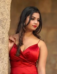 call girl service in Palakkodu